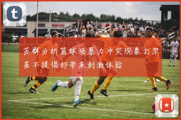 苏群分析篮球场暴力冲突现象打架虽不提倡却带来刺激体验