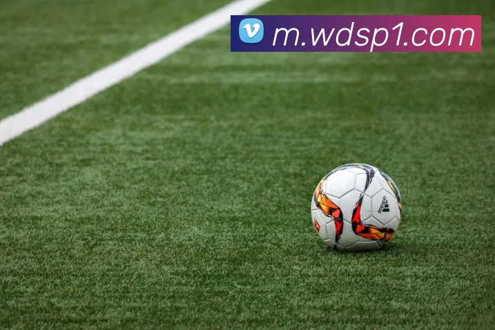 韦德体育品牌故事